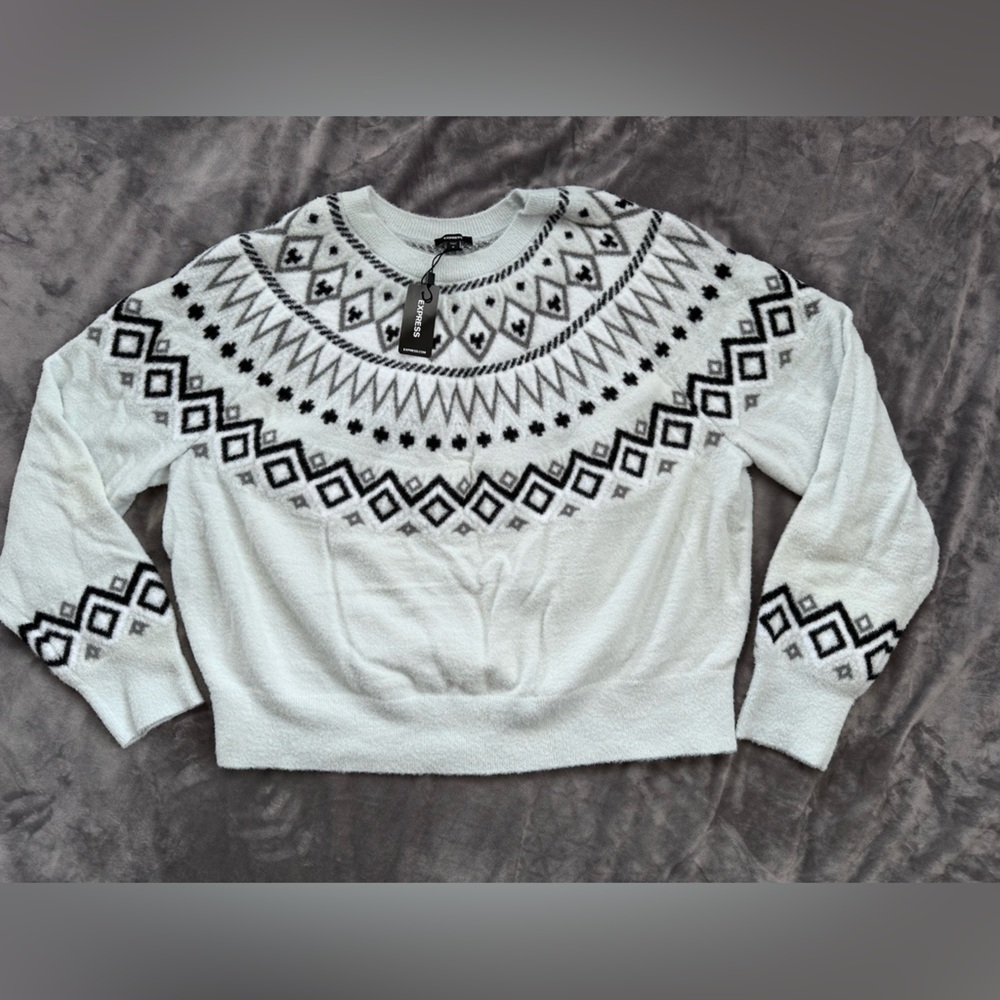 NWT Express cropped sweater